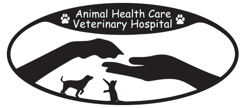 Animal Health Care Veterinary Hospital | Providing the best possible  medical care for your pets