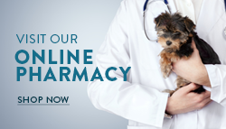 Animal Health Care Veterinary Hospital | Providing the best possible  medical care for your pets